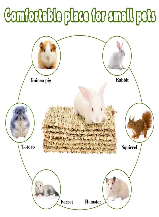 S SANGLE SOPFFY Grass mat for Rabbit Bunny Sangle Sopffy 6 Pcs,Rabbit Hay Mat,Small Animal Cages Hay Mat,Rabbit Grass Mat,Nesting and Toys for Guinea Pig Parrot Rabbit Bunny Hamster Chinchilla Squirrel - Image 3